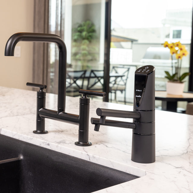 Delphi H2 Undersink Water Ionizer