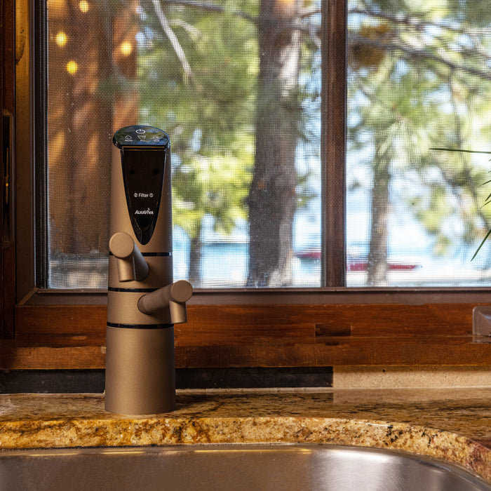 Delphi H2 Undersink Water Ionizer