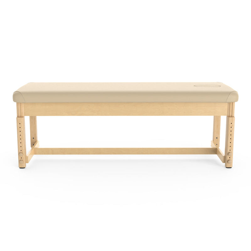 Hisooth - Essence Vibe VibroAcoustic Therapy Sound Massage Bed/Table