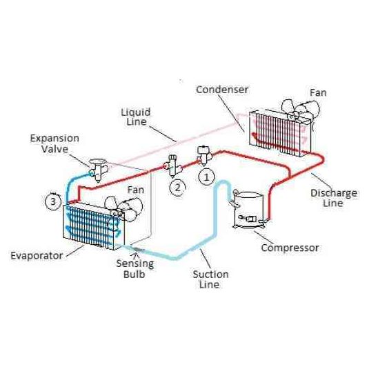 Cryonick Factory CryoStar Antarctica Electric Whole Body Cryo Chamber
