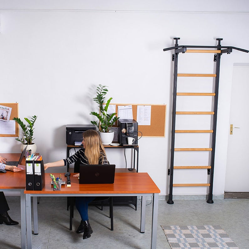 BenchK - Series 5 521 Wall Bars With Fixed Pull-Up Bar