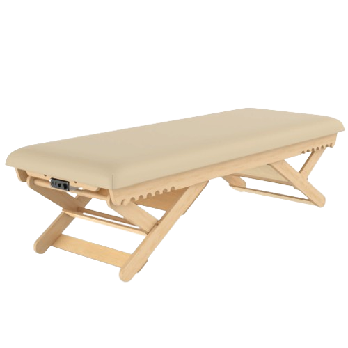 Hisooth - Boast Vibe Stationary VibroAcoustic Therapy Massage Table