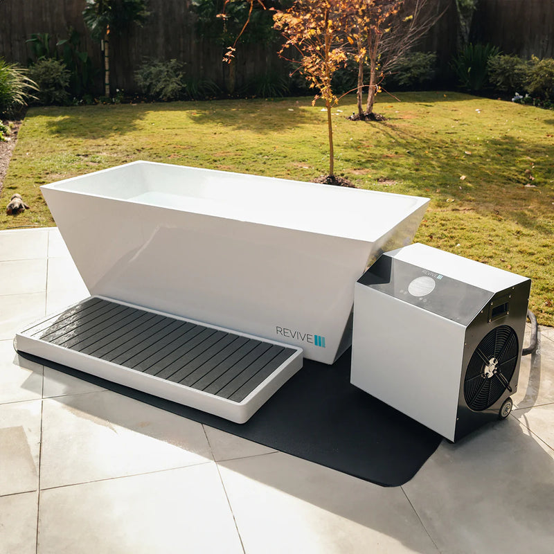 Revive 6 Person Traditional Sauna & Acrylic Plunge