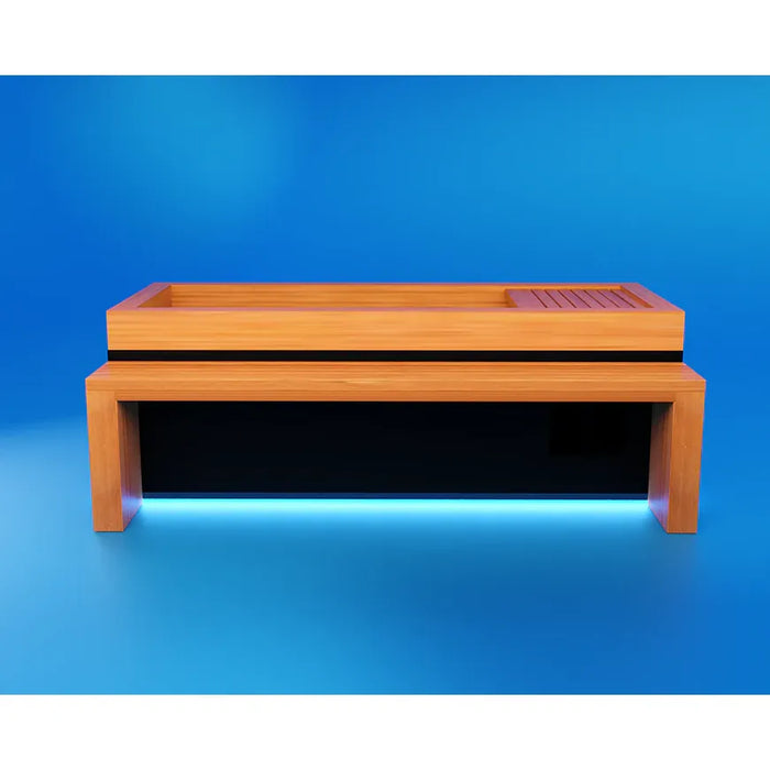 Medical Frozen 2 Cold Plunge