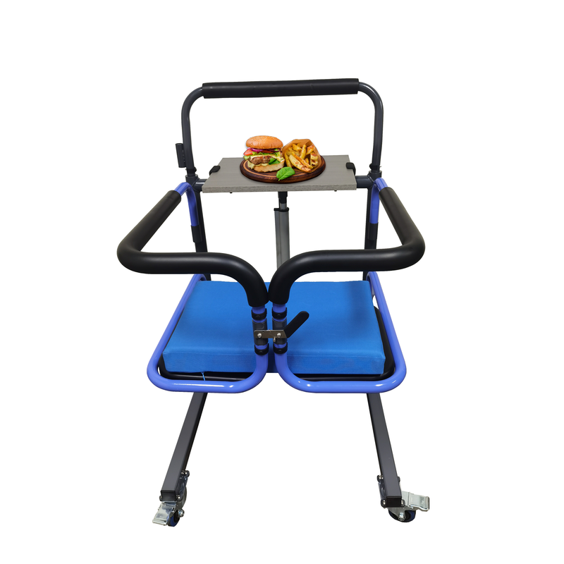 Shield Innovations  EZ Lift Assist Patient Power Lift