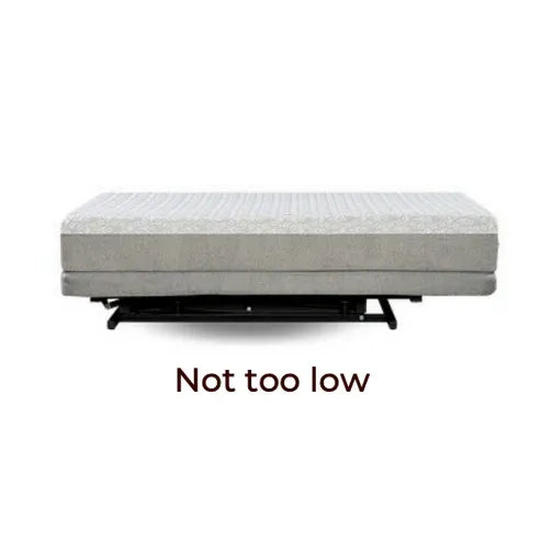 Transfer Master Supernal 3 Function Hi-Low Adjustable Bed