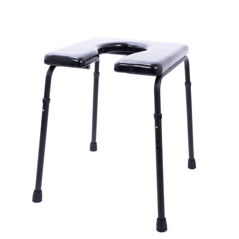 101 Rehab Shower/Commode Chair-Bath/Toilet Modular System