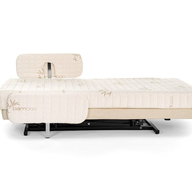 Transfer Master Supernal 3 Function Hi-Low Adjustable Bed