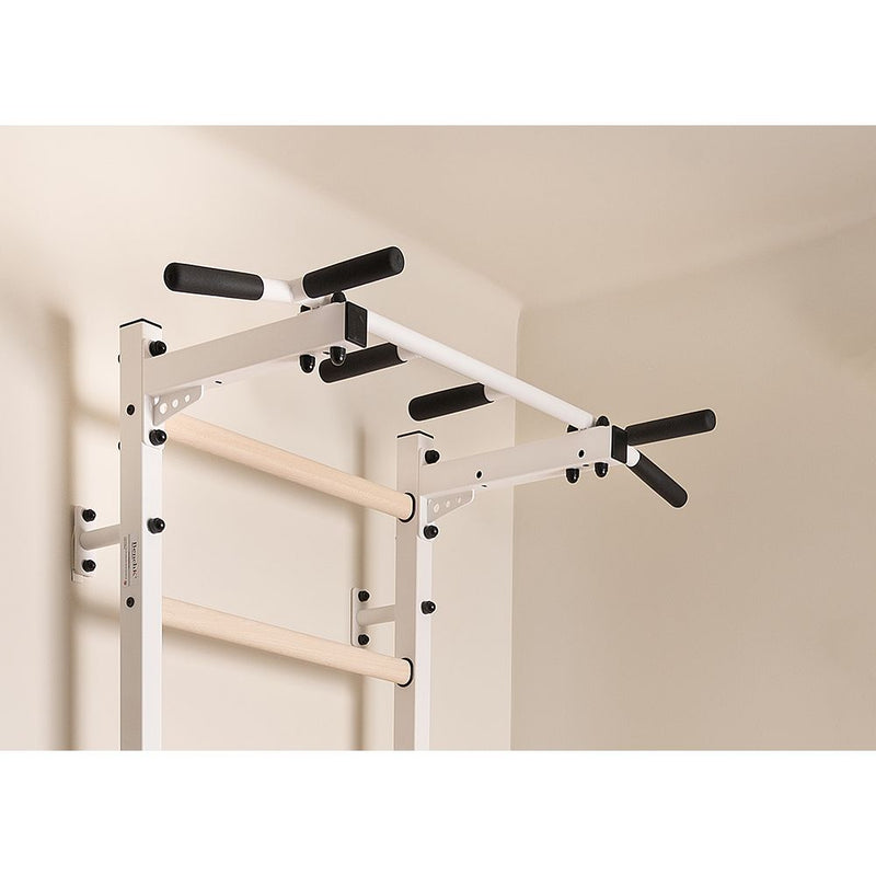 BenchK - Series 2 221 + A076 Wall bars With Accessories