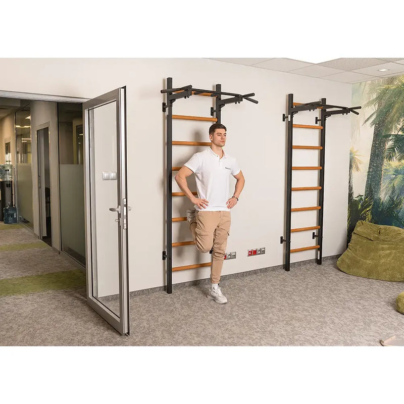 BenchK - Series 2 221 Wall bars