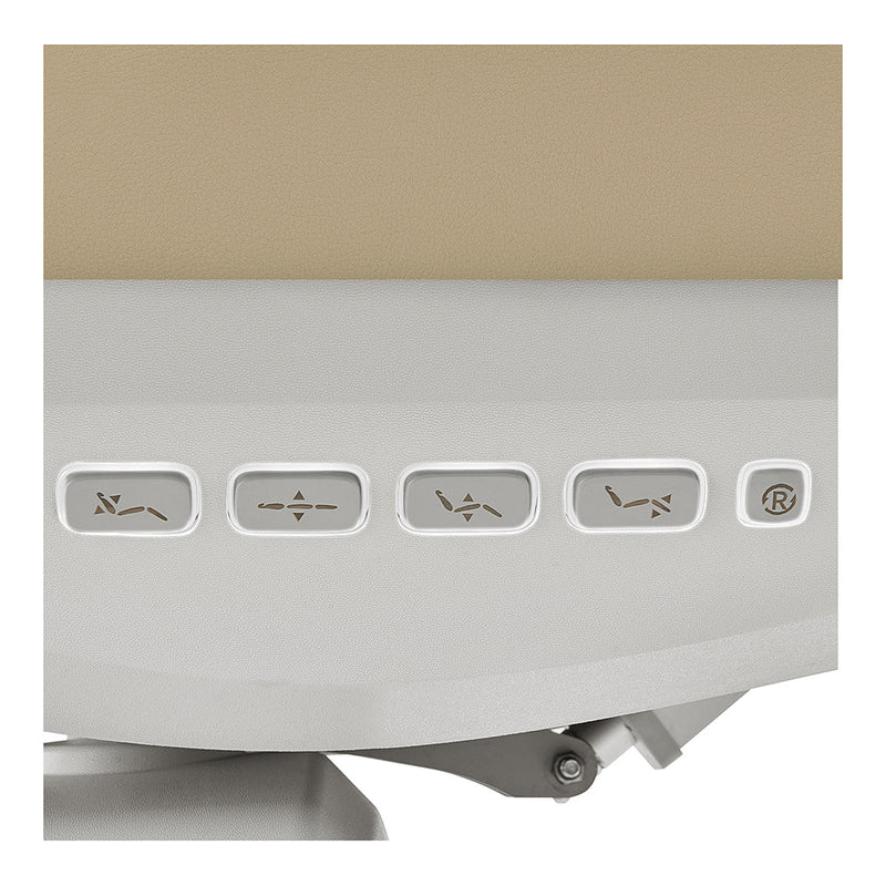 DIR Aurora Medical Spa Chair with 4 Motors