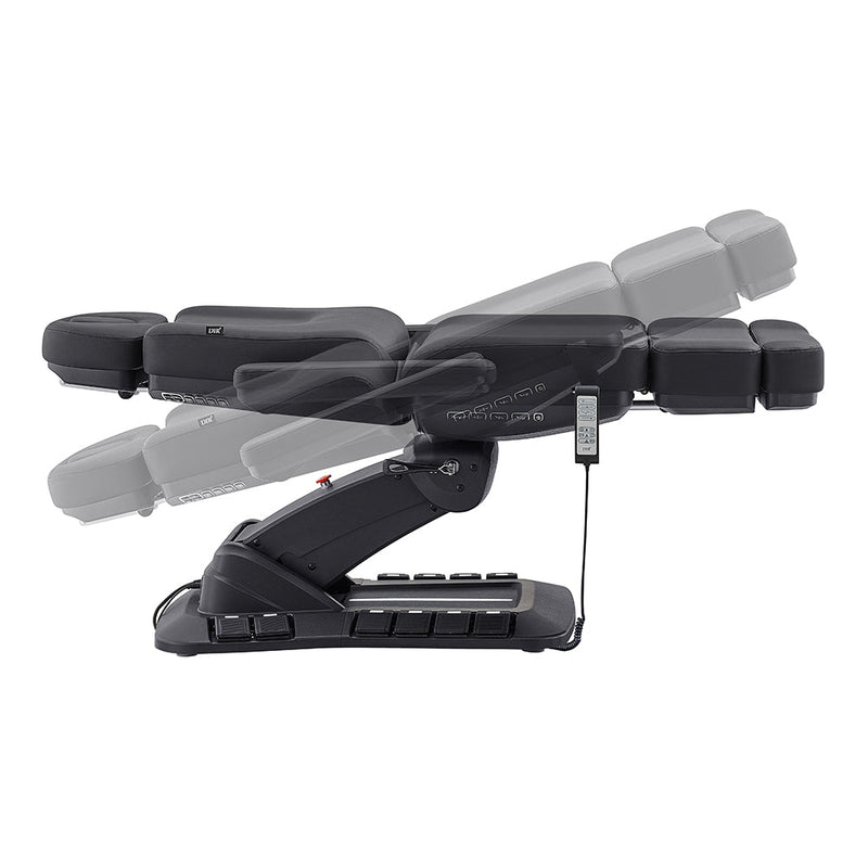 DIR Aurora Medical Spa Chair with 4 Motors