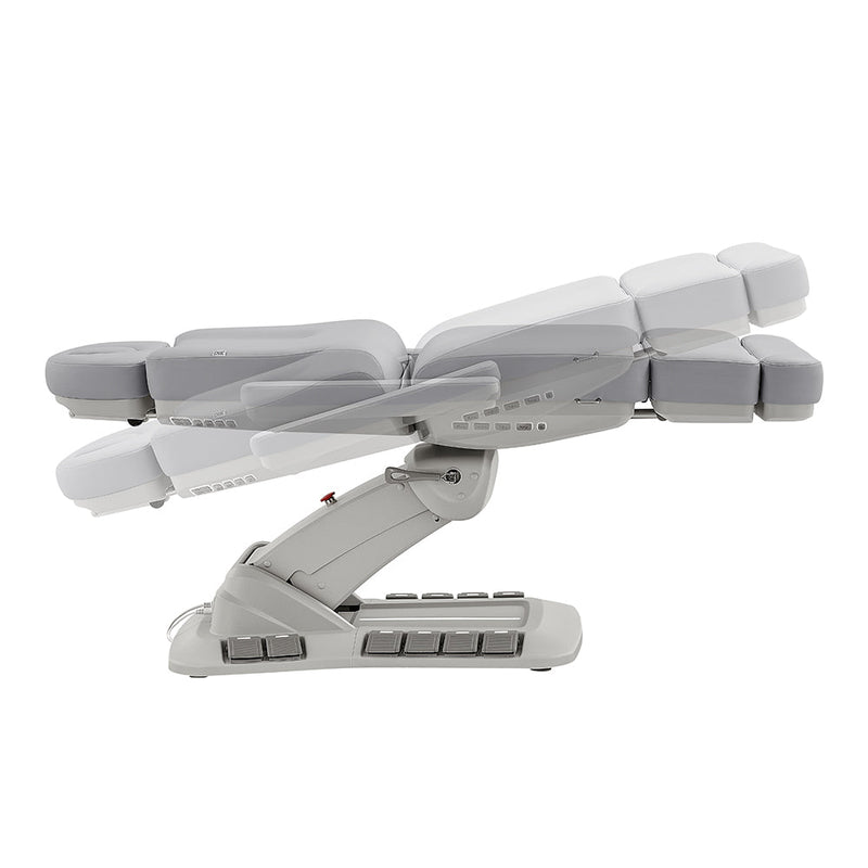 DIR Aurora Medical Spa Chair with 4 Motors