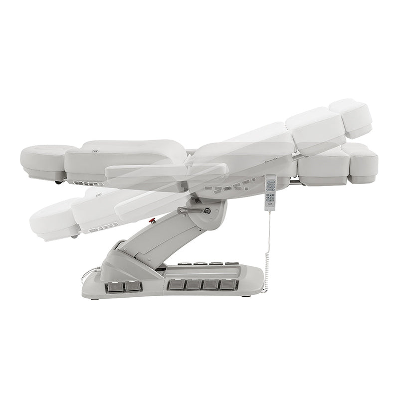 DIR Aurora Medical Spa Chair with 4 Motors