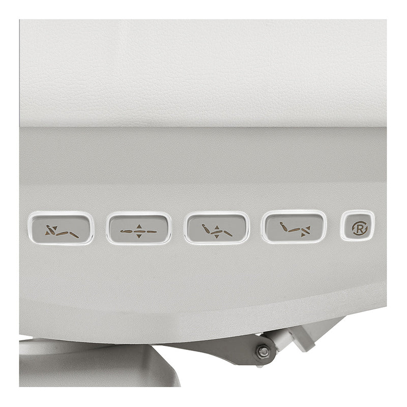 DIR Aurora Medical Spa Chair with 4 Motors
