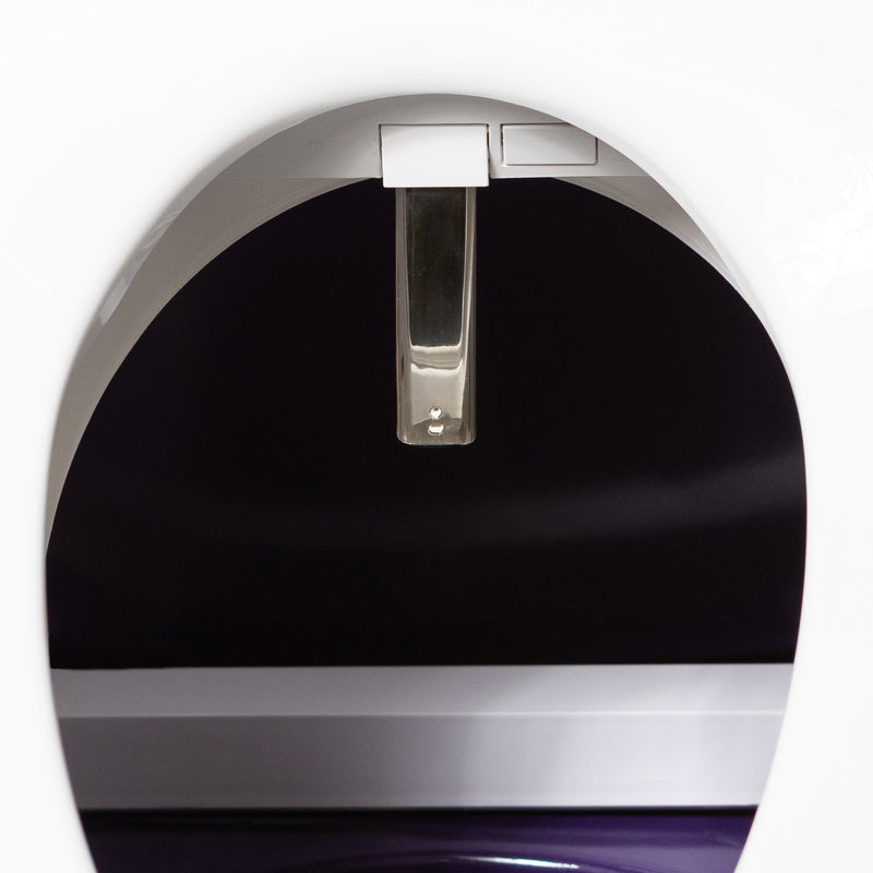 Dignity Lifts - Bidet Toilet Lift WL2