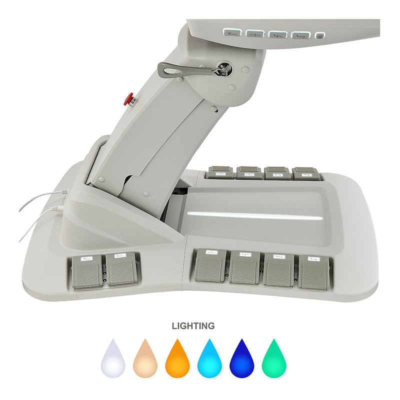 DIR Geneva 4-Motor OB/GYN Exam Table with Stirrups