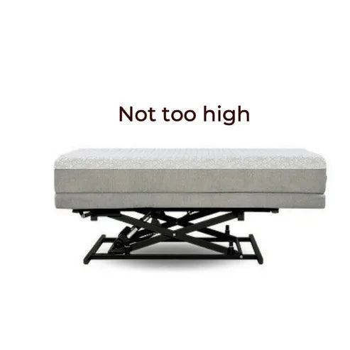 Transfer Master Supernal 3 Function Hi-Low Adjustable Bed