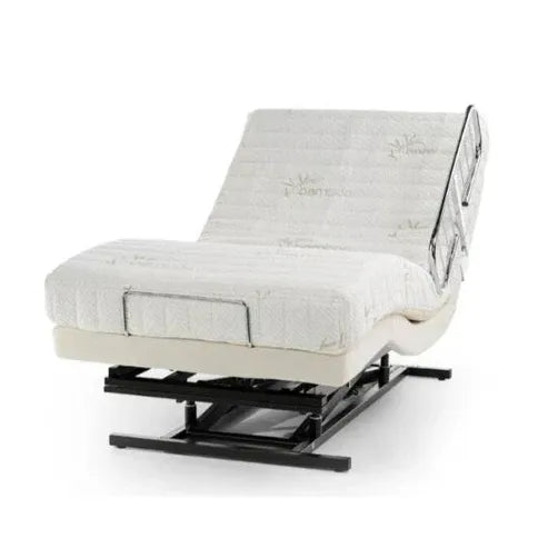 Transfer Master Supernal 3 Function Hi-Low Adjustable Bed