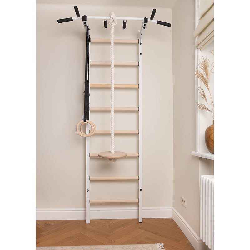 BenchK - Series 2 221 + A076 Wall bars With Accessories