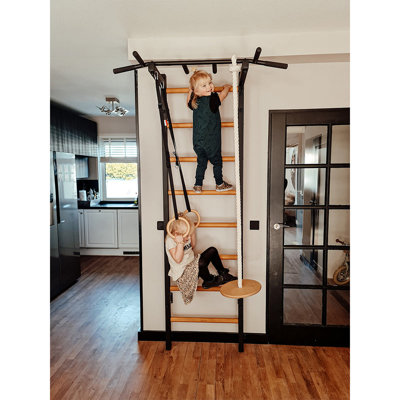 BenchK - Series 2 221 + A076 Wall bars With Accessories