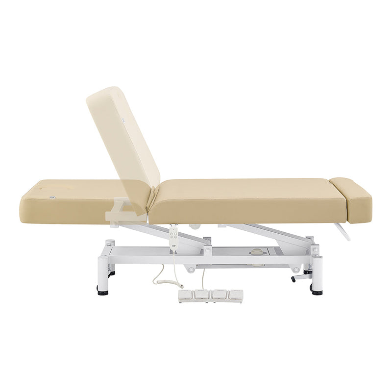 DIR WellRelax 2-Motors Therapy Treatment Table with Tilting Cradle Pillow